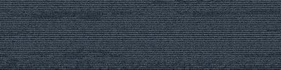 Stripes - 302